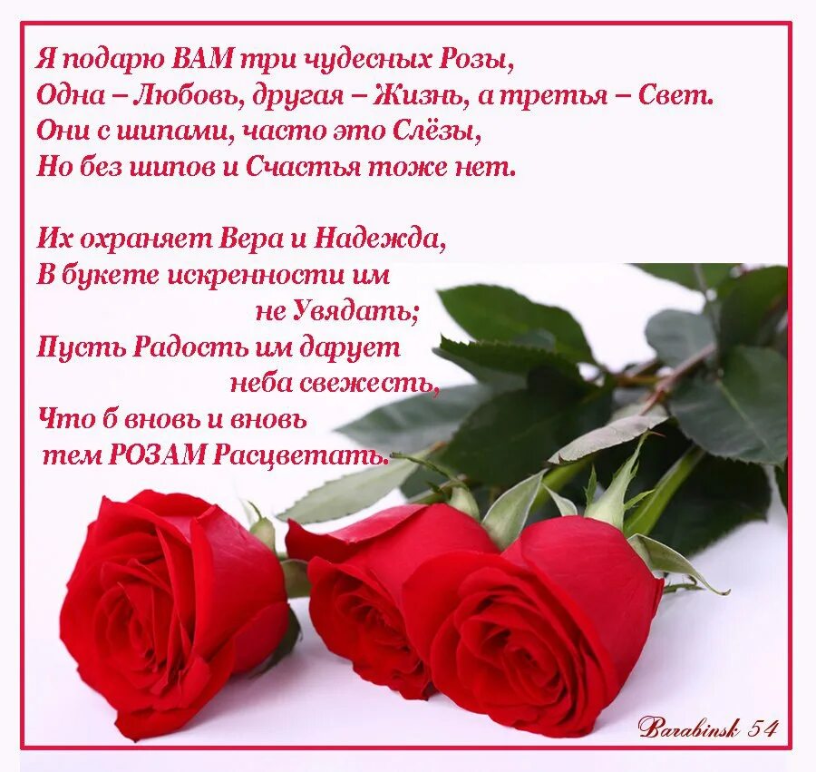 красная роза на книге. розы со стихами. красивые цитаты про розы. красивые стихи про розы. роза на книге.