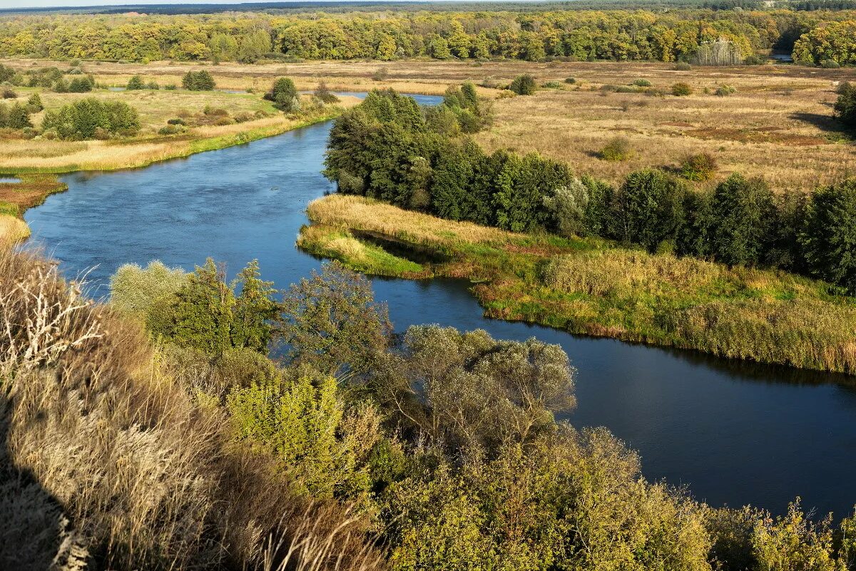 воронеж впадает в. воронеж впадает в. река дон в воронежской области шилово. воронеж (река) реки воронежской области. слияние рек в воронежской области хопер.