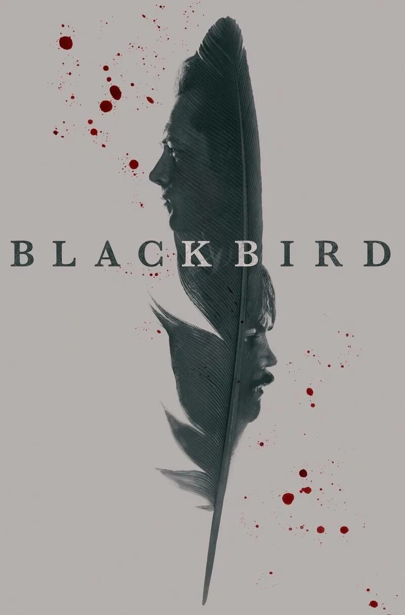The black bird. The black bird. Ларри холл 2022. The black bird. The black bird.