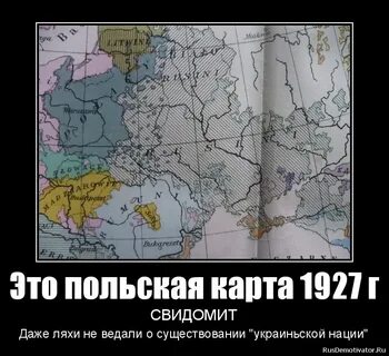 Свидомитов нет