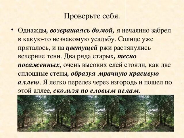 Возвращаясь однажды домой я нечаянно забрел в какую-то незнакомую. Незнакомая усадьба диктант. Солнце уже пряталось и на цветущей ржи растянулись вечерние. Возвращаясь домой я нечаянно забрел в незнакомую усадьбу. Незнакомая усадьба текст