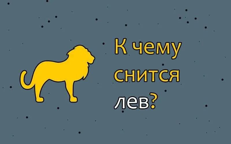 К чему снится Лев. К чему снится ЛН. Лев во сне для женщины. Сон Льва. Львы во сне к чему снится женщине