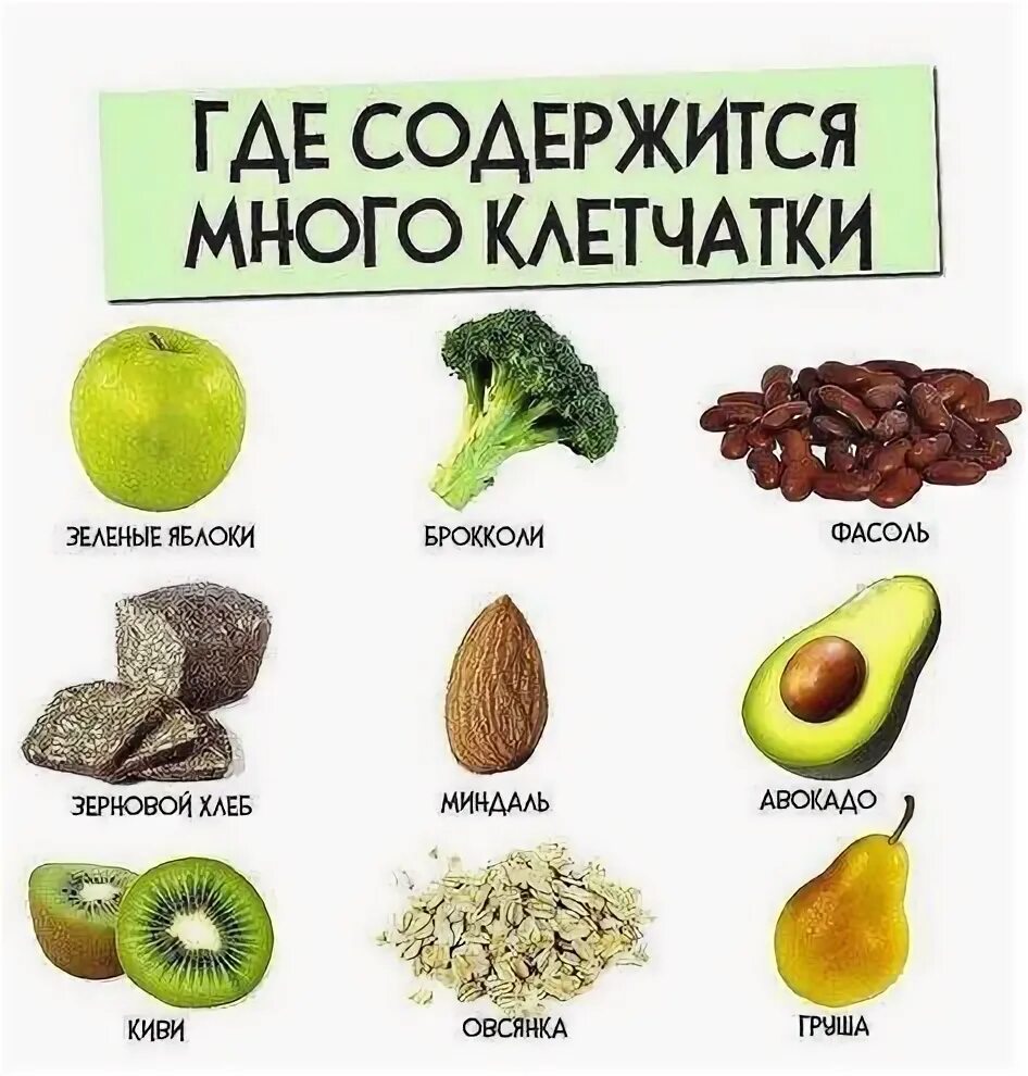 Содержится грубая клетчатка. Содержится грубая клетчатка