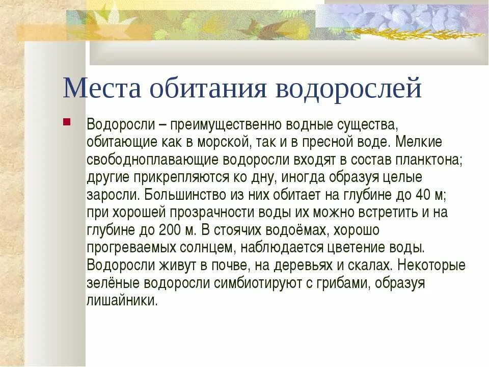 Местообитание водорослей. Местообитание бурых водорослей. Место обитания бурых водорослей. Место обитания красных водорослей.