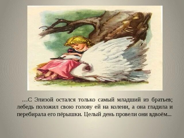 Отзыв о сказке дикие лебеди 4. Отзыв о сказке дикие лебеди 4