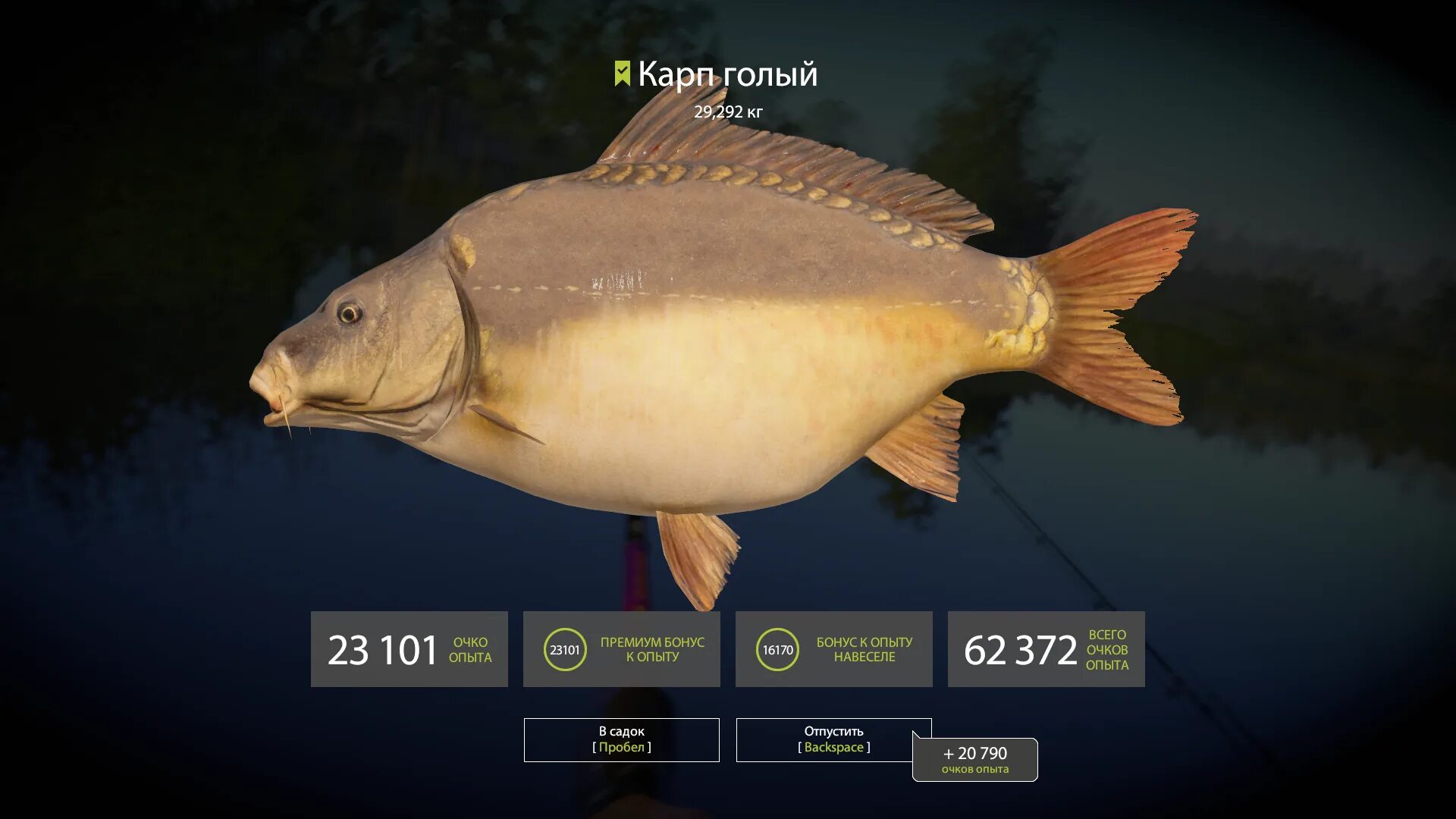 рыба семейства карповых 4 буквы последняя ч. нарисовать рыбу линь. карповый 4 буквы. карповый 4 буквы. небольшая пресноводная рыба.