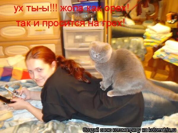 Твой орех просится на грех. Твой орех. твои булочки орех. твой орех тянет меня на грех. это не твой орех.