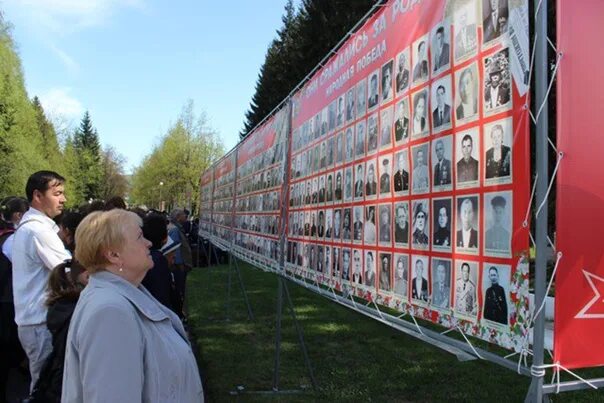 Стена памяти крокус. Стена памяти Горно Алтайск 2022. Стена памяти в парке фото. В Горно Алтайске собирают ли фотографии на стену памяти.