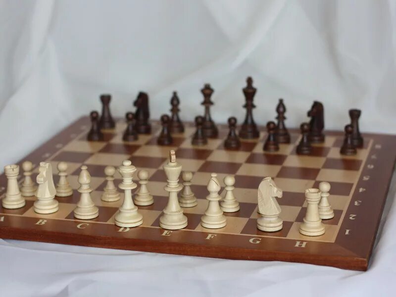 шахматы стаунтон №6. шахматы zez sport 3108. стаунтон №5 фигуры. шахматы турнирные стаунтон. шахмат chess schach echecs deluxe.