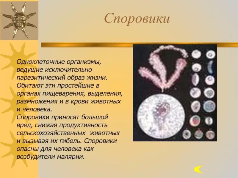 Три значения простейших