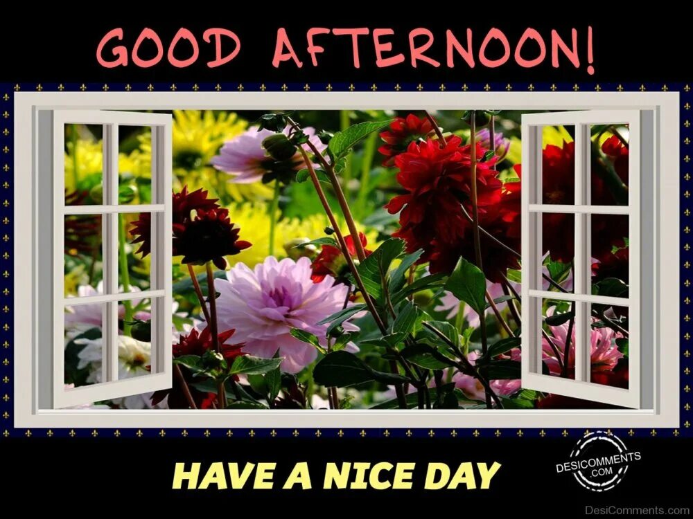 Good afternoon. Good afternoon have a nice Day. Good afternoon nice Day. Good afternoon have a nice Day открытки.