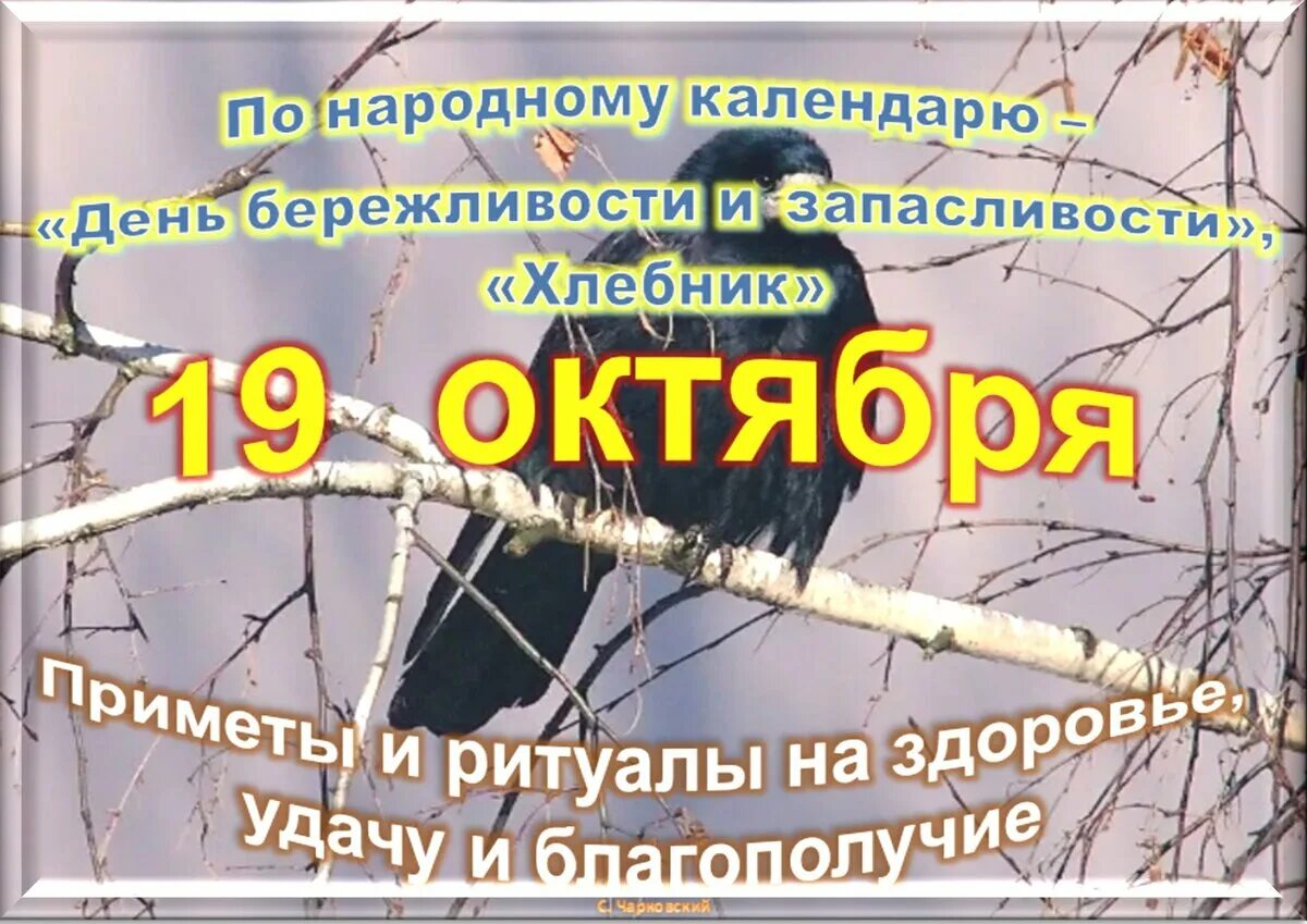 19 Октября октября праздник. 19 Октября народные приметы. 19 Октября приметы дня. 24 Октября приметы.