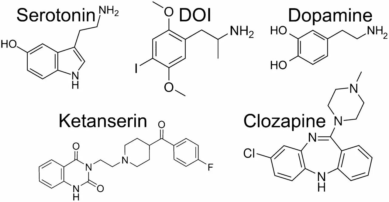 Эндорфин гормон формула. Дофамин серотонин окситоцин. Дофамин серотонин Эндорфин окситоцин. Серотонин схема.