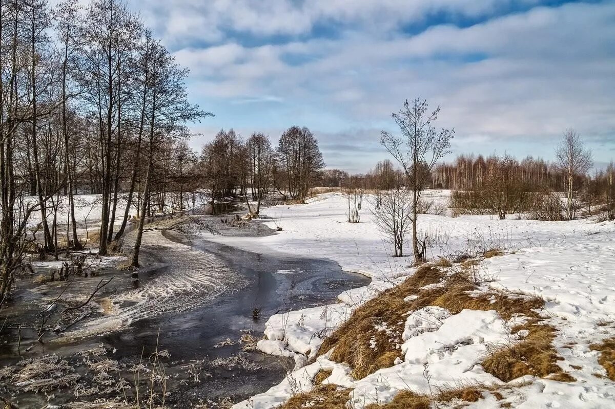 Март чистим. Март природа. Весенняя река. Река весной.