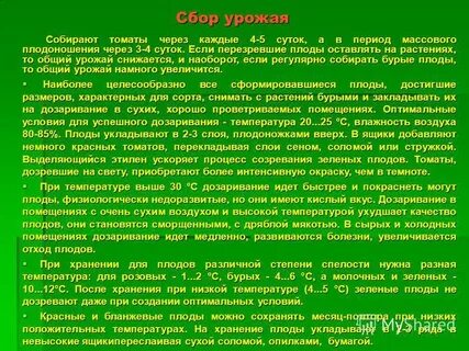 Месяц сбора
