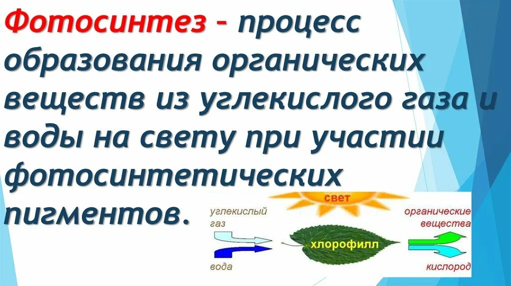 Участвует в образовании органических веществ. Процесс образования органических веществ. фотосинтезом называют процесс. схема фотосинтеза и дыхания. фотосинтез таблица 6 класс.