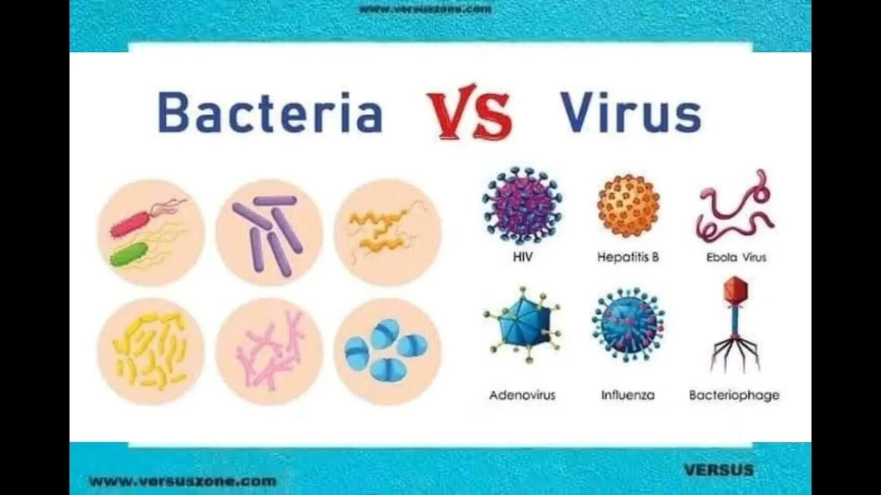 Virus vs virus. Вирусы и бактерии. Бактерии и вирусы задания для детей. Бактерии vs вирусы. Бактерии и вирусы микробиология.