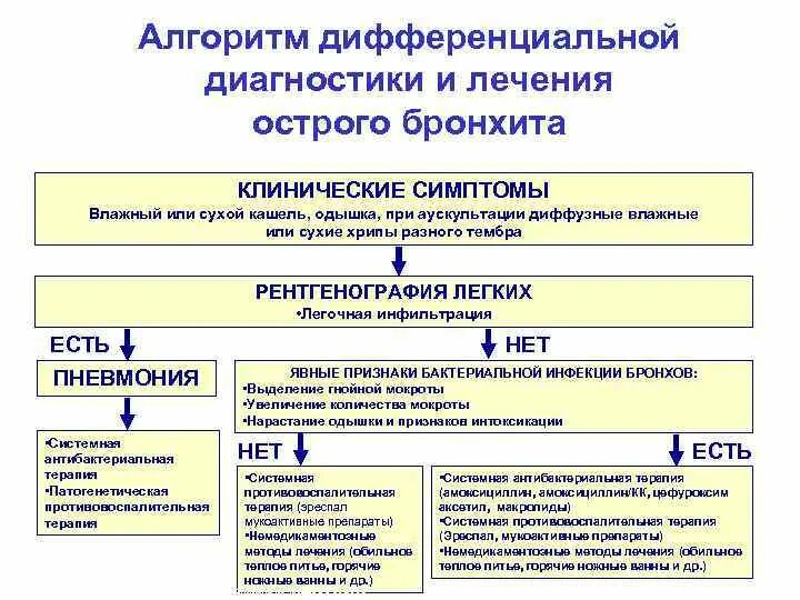 Бронхит стандарты. Алгоритм диагностики острого бронхита. Алгоритм обследования больного с бронхитом. Хронический бронхит схема терапии. Алгоритм диагностики хронического бронхита.