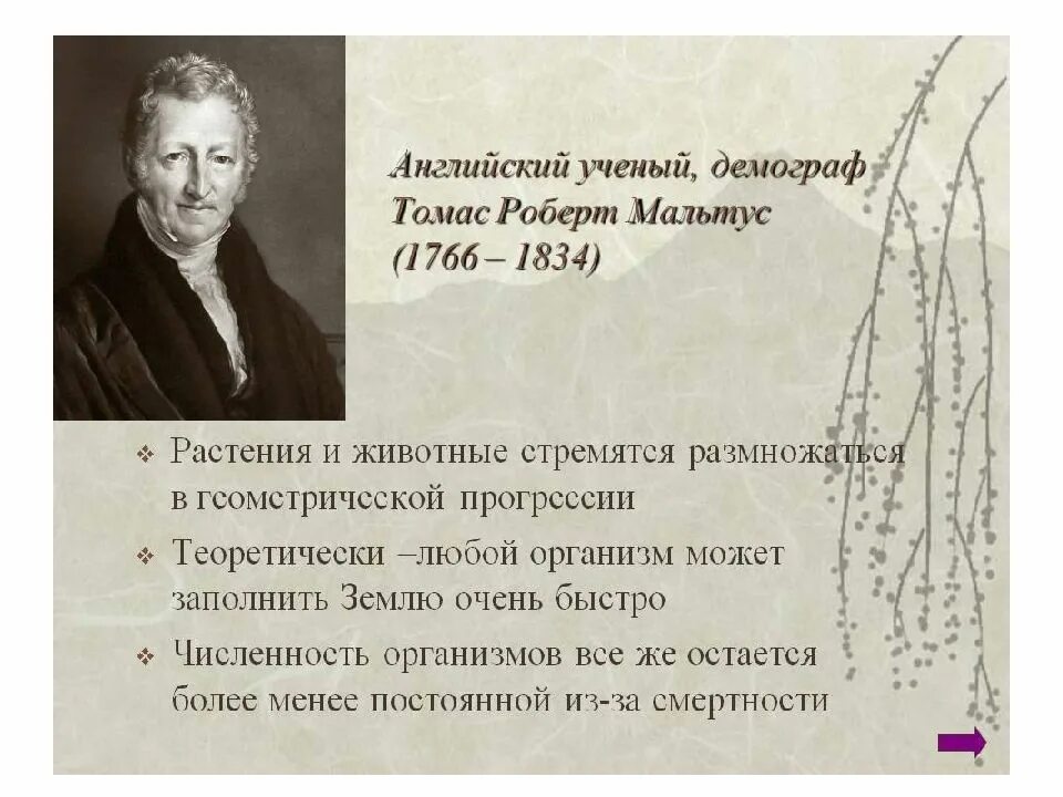 История развития эволюционных взглядов. Английский ученый теория эволюции. Теория эволюции уоллеса кратко. Английский ученый теория эволюции. Эволюционные идеи биология.