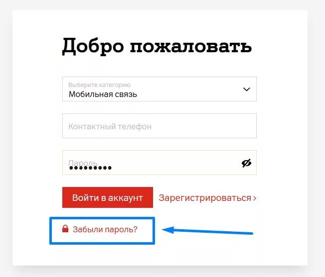 Лидер про ижевск личный кабинет. Велком личный кабинет. 1с личный кабинет. Велком ТВ личный кабинет. Регистрация видимость пароля.