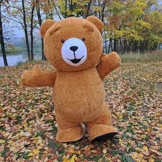 Мишутка кострома
