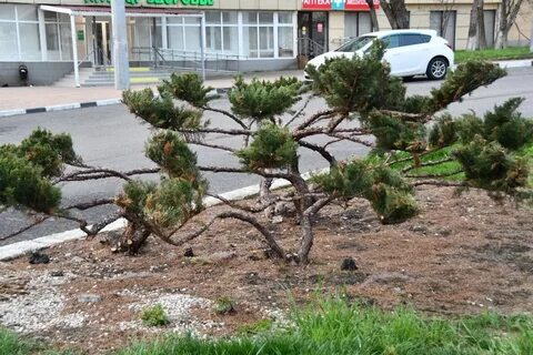Подслушано в новороссийске