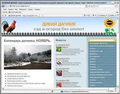 Дики сайт