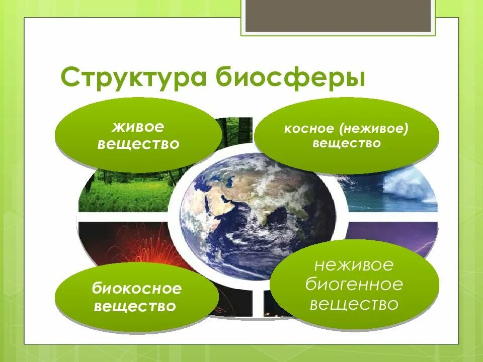 Основная состоит из живых. Структура биосферы. Общая структура биосферы. Строение биосферы по Вернадскому. Биосфера структура биосферы.