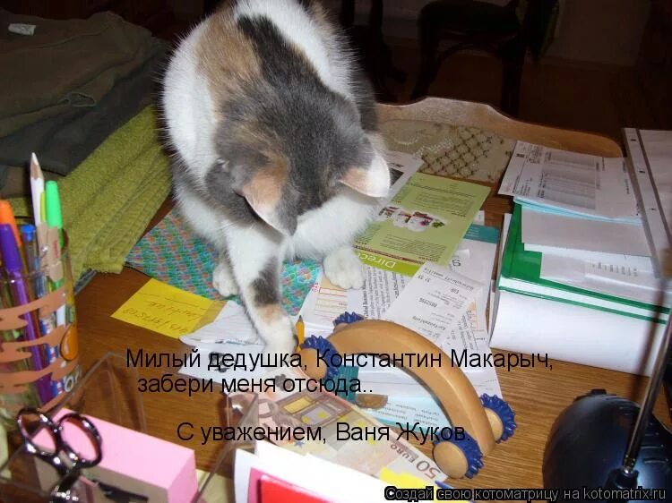 милый дедушка забери меня отсюда