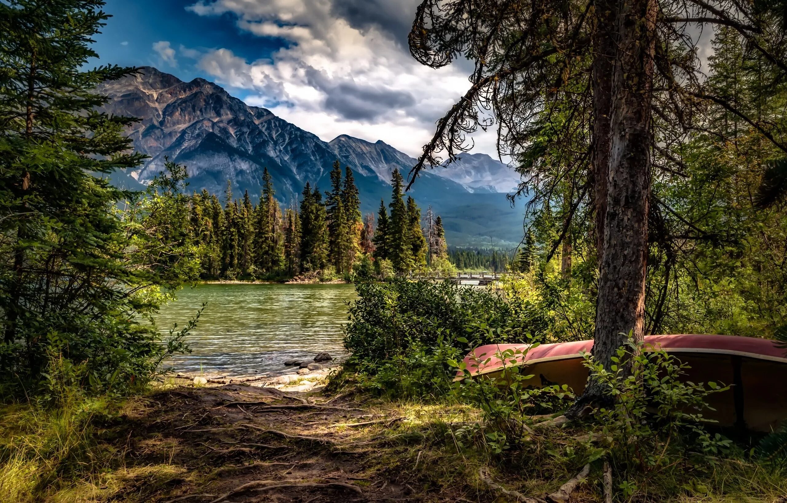 undefined Oregon Wallpaper (52 Wallpapers) Adorable Wallpapers Forest wallpaper,
