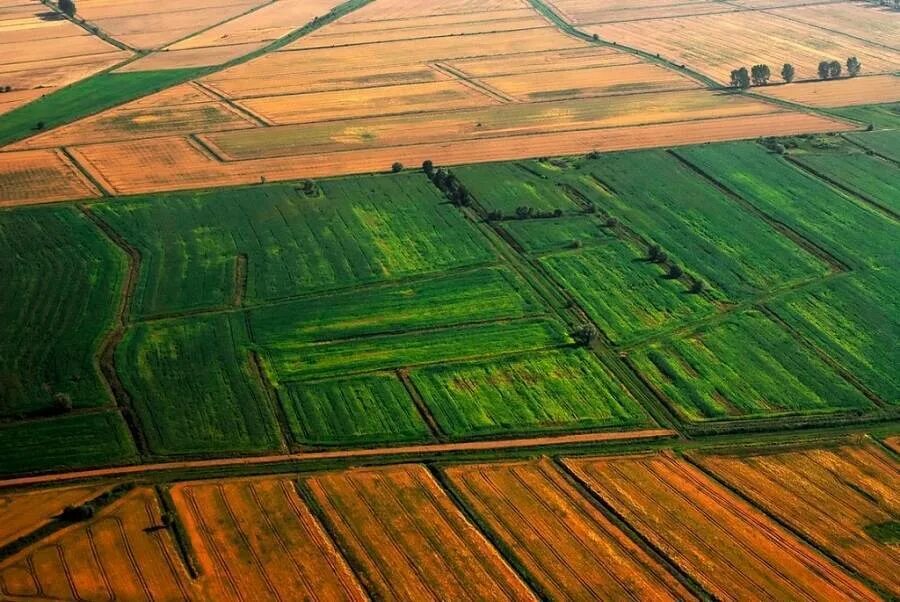 Зеленое сельское хозяйство. Степи алтая поля сельского хозяйства. Сельскохозяйственные угодья. Пахотные поля белоруссия. Пахотные земли.