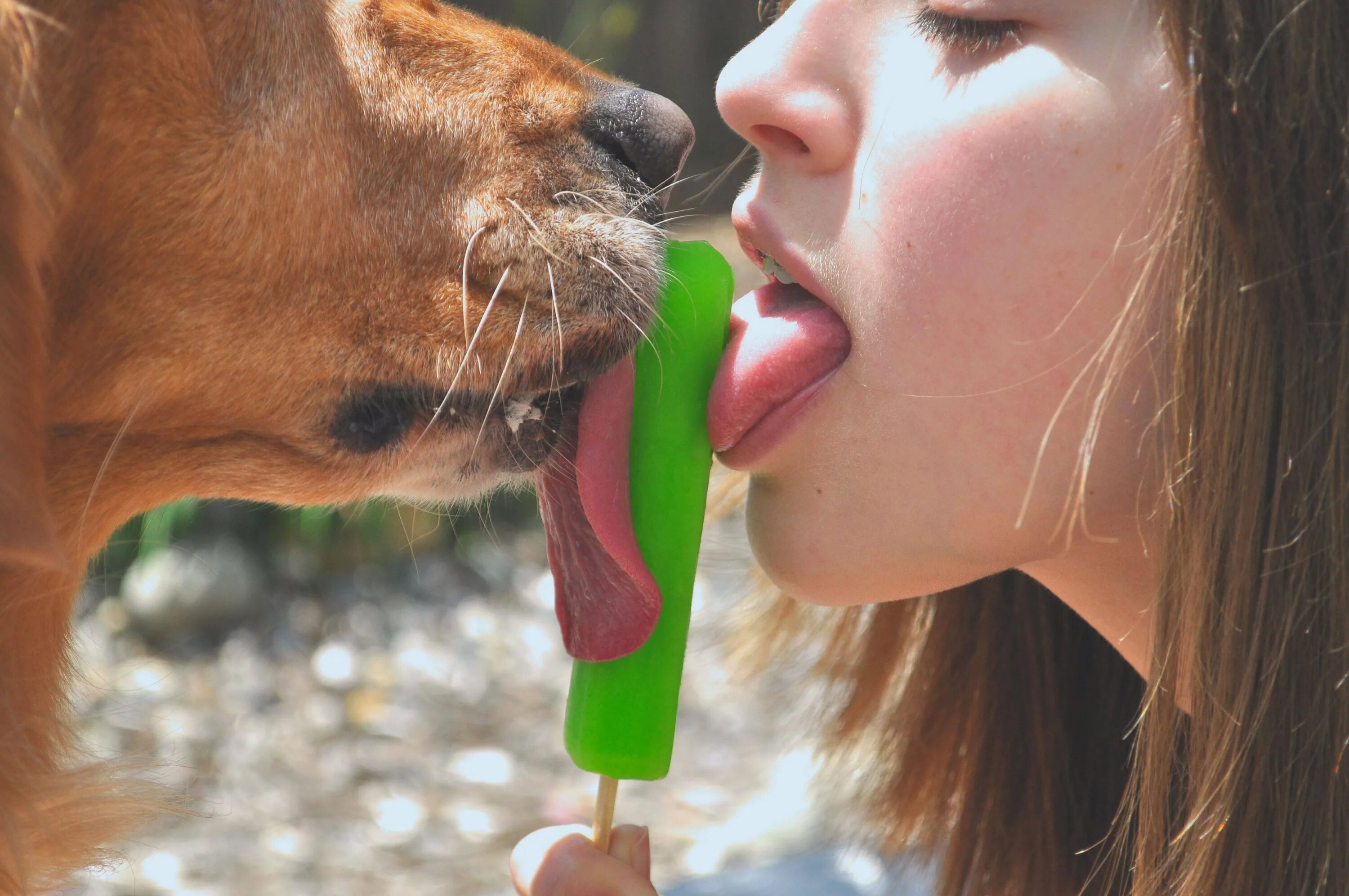 Поцелуй с собакой. Французский поцелуй с собакой. Собака облизывает девочку. Поцелуй с собакой с языком. Pet sister