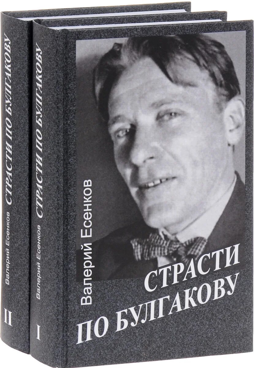 Книги биографии великих. Книга биография. Обложка книги биография. Булгаков в 2 томах. Книги биография известных людей.