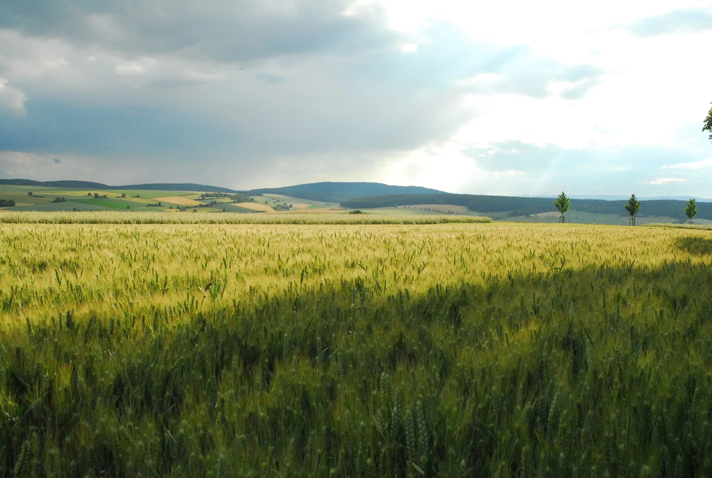 Поле степь панорама. Деревня в степи. Естественное поле. Field панорама. N field