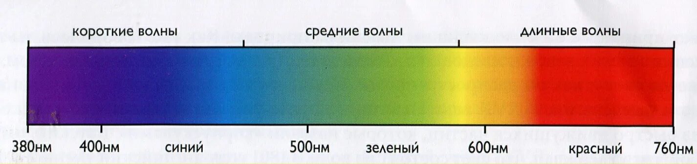 Диапазон длин волн красного цвета. Длина волны цвета. Длина волны разных цветов. Диапазон цветов.