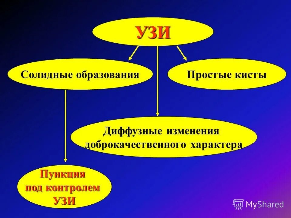 Узловых солидных образований. Узловых солидных образований