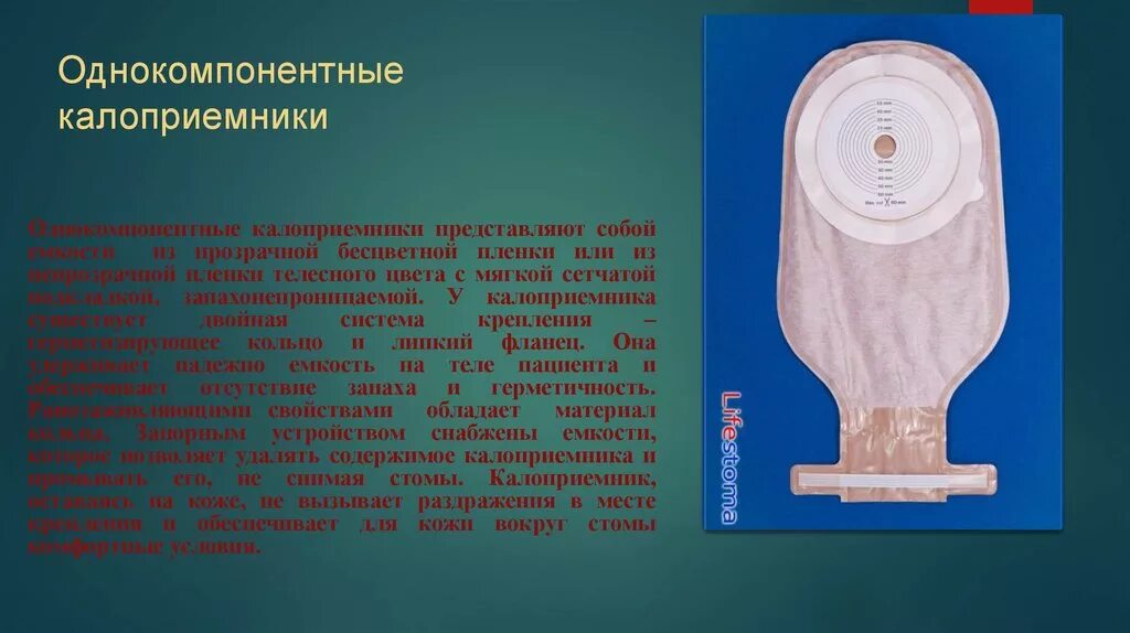 Стомой называется