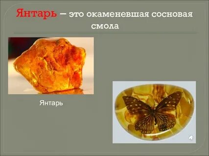 Янтарный предложение