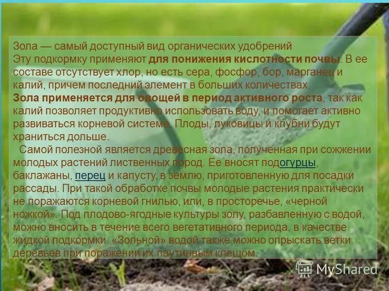 Можно ли вносить золу под. Кислотность почвы и удобрения. Удобрения, влияющие на кислотность почвы. Зола для почвы. Подкормка культурных растений.