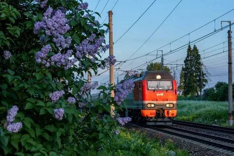 Белгород кисловодск поезд