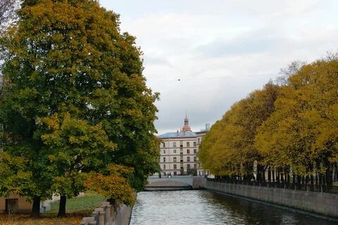Листва петербург
