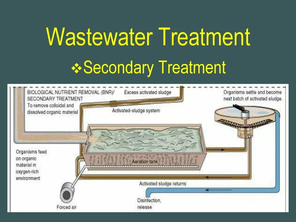 Status asthmaticus definition. Wastewater treatment process. Treatment process. Such treatment. Anaerobic process of biological wastewater treatment.