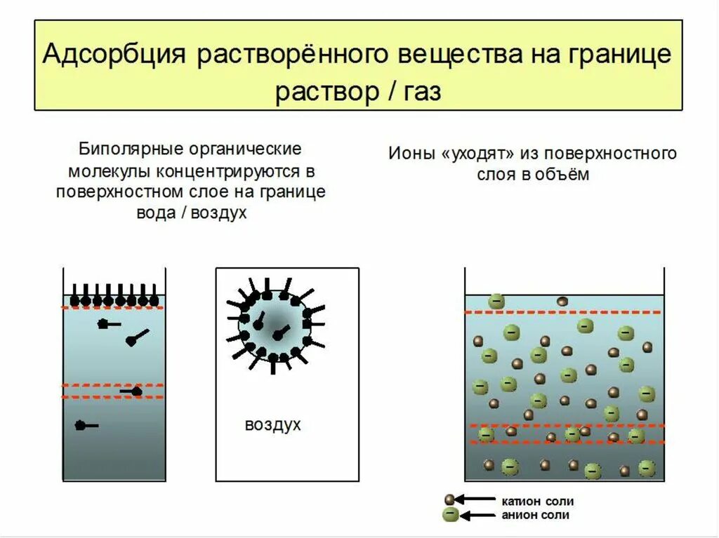 Адсорбционные явления. Адсорбция на границе раствор ГАЗ. Адсорбция влаги. Адсорбция схема процесса. Адсорбция на границе