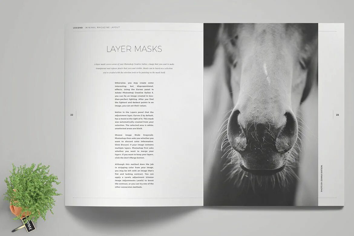 E l design. Magazine layout design. минимал журналы. indesign minimalism. layout magazine cool.