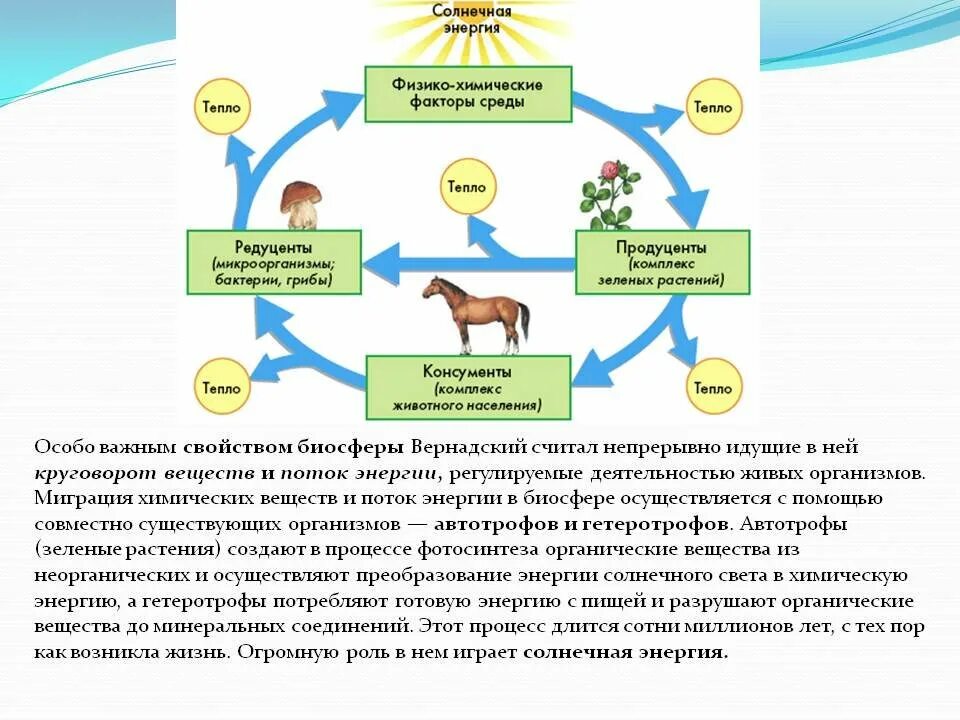 Является ли биологическая
