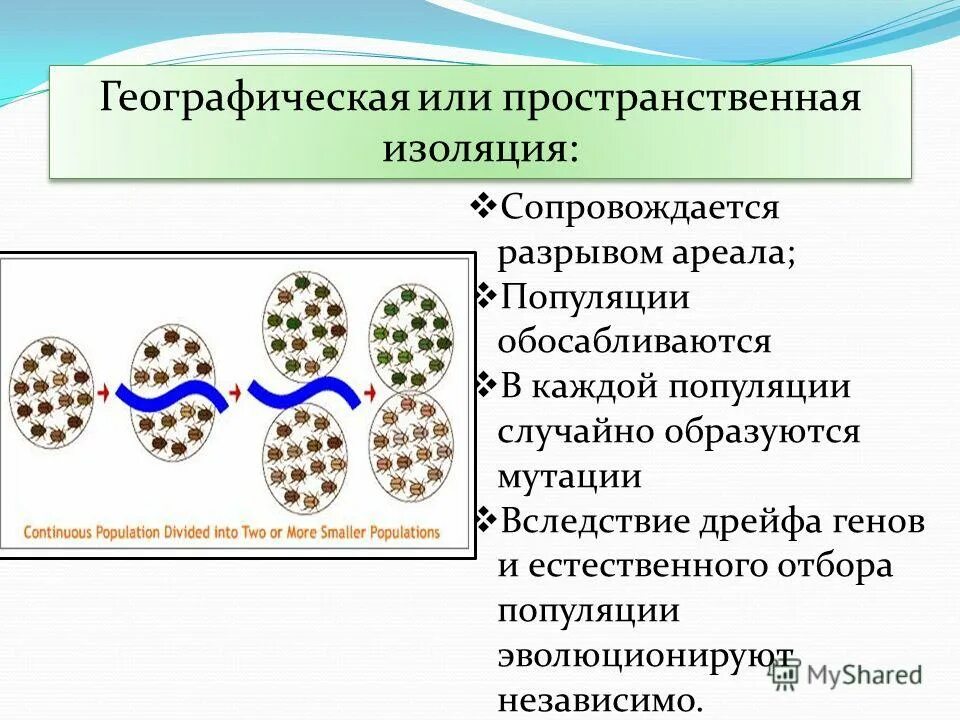 Вследствие разрыва ареала