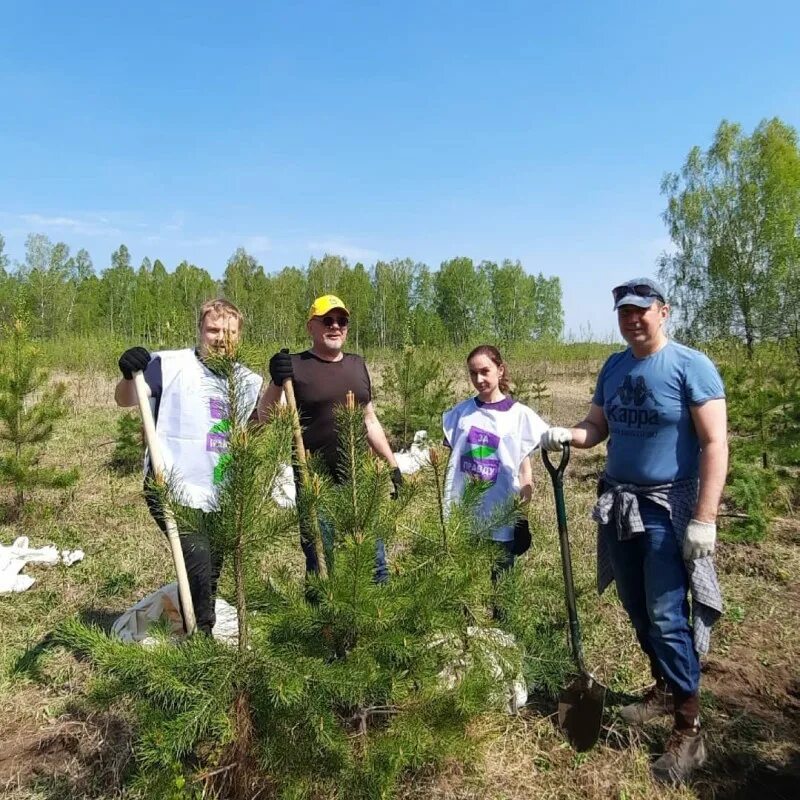 Посадили 56 деревьев. Жасыл мекен ЧЕЛЛЕНДЖ посади свое дерево.