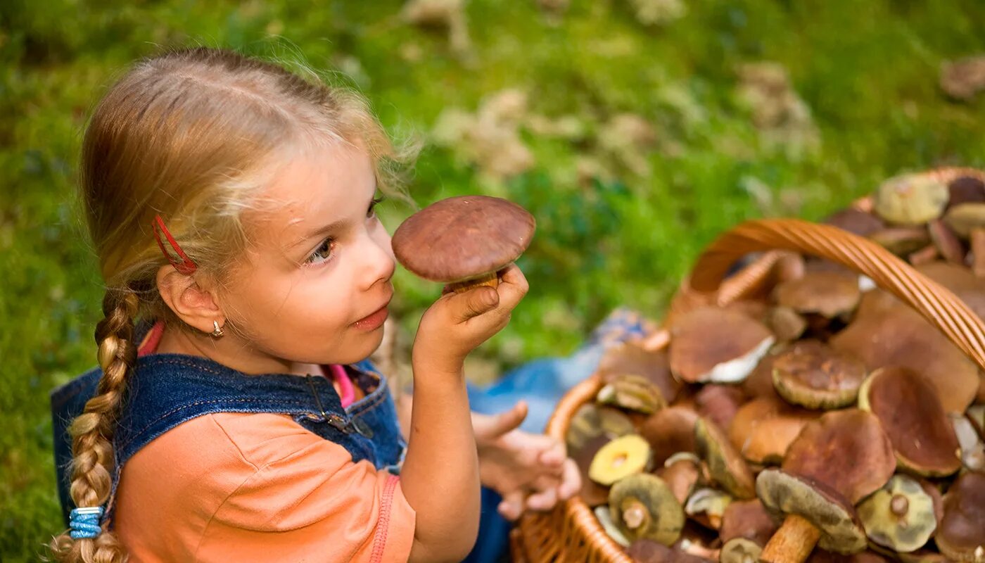 Новоселовой. Девочка с корзинкой грибов. Детская фотосессия сбор грибов. Дети собирают ягоды. Грибное лето дядя фёдор.