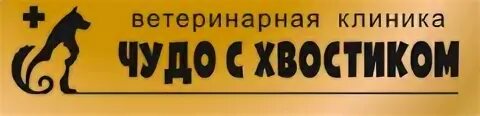 Чудо с хвостиком омск. Чудо с хвостиком омск 21 амурская. Чудо с хвостиком омск 21 амурская. Чудо с хвостиком омск 21 амурская. Чудо с хвостиком омск 21 амурская.