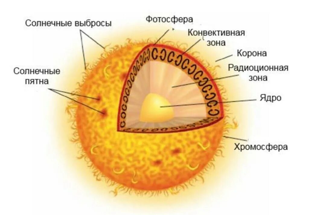 Солнце состав и внутреннее строение. Внутренне строение солнца. внутреннее строение солнца слои. строение солнца схема. внутренне строение и внешнее солнца.